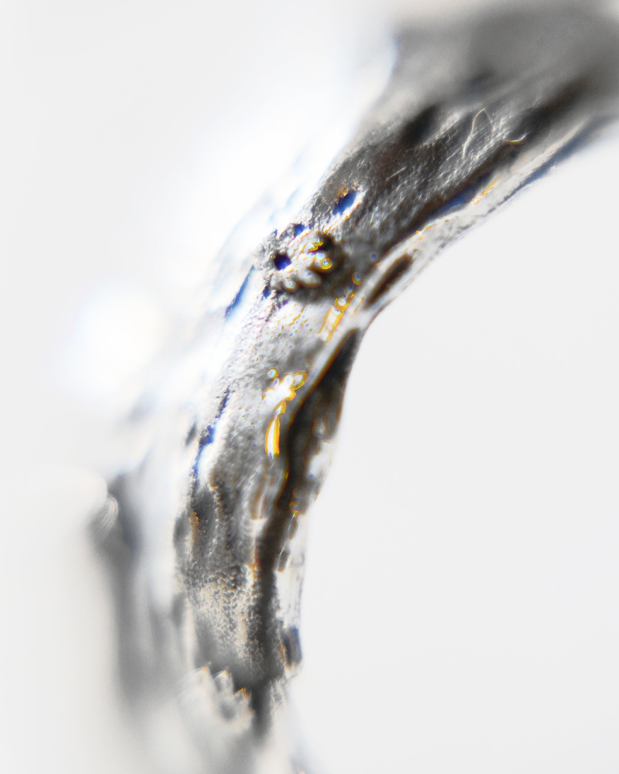 Paintbrush Ring – Famine Studios